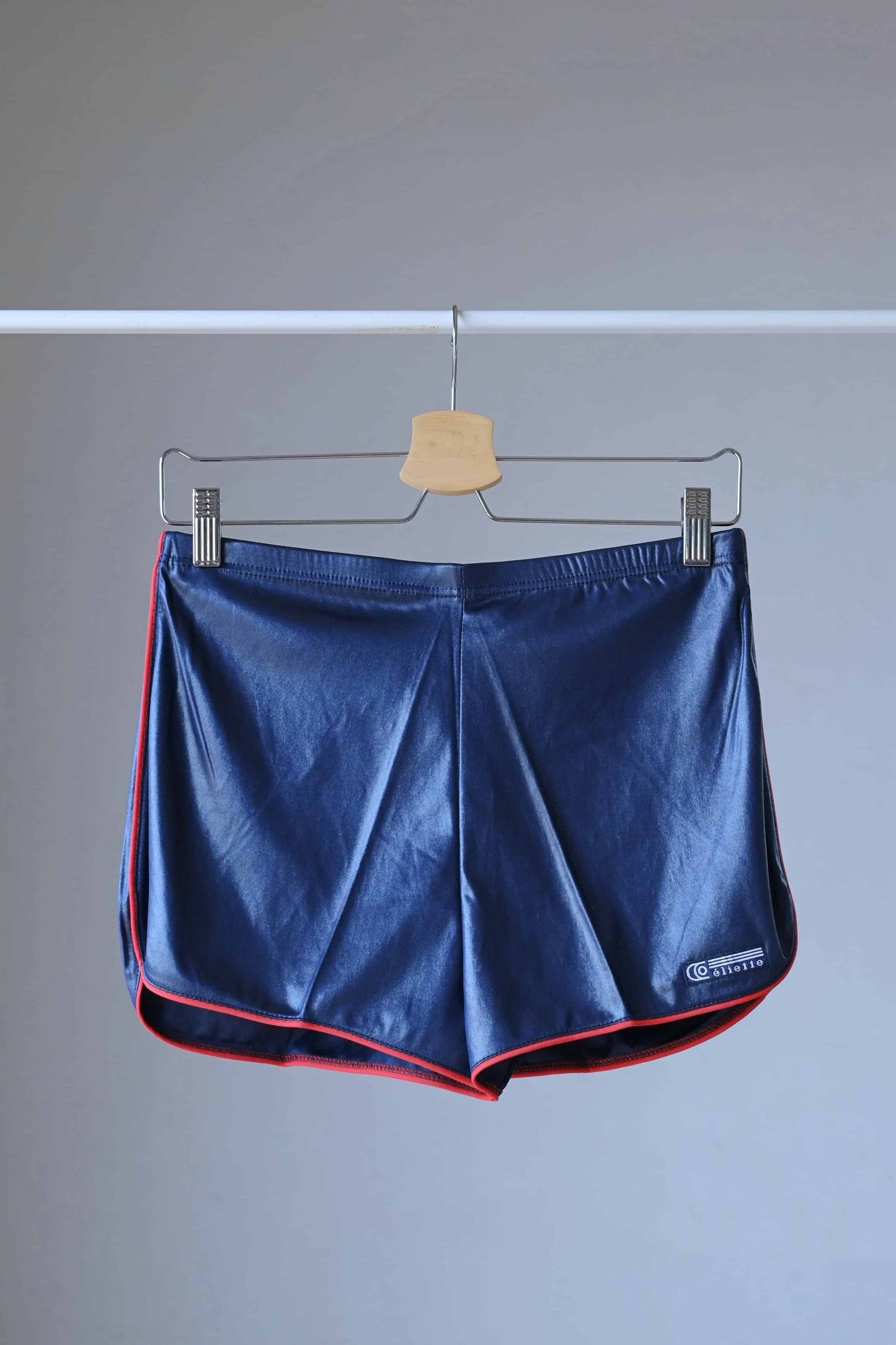 80's Dolphin Shorts