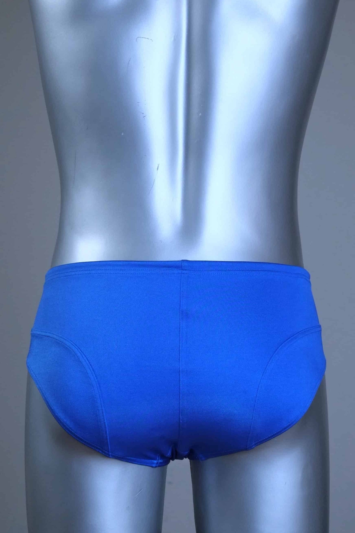 Back view of a pair of SOLAR vintage 70s swim briefs in royal blue shown on a silver mannequin