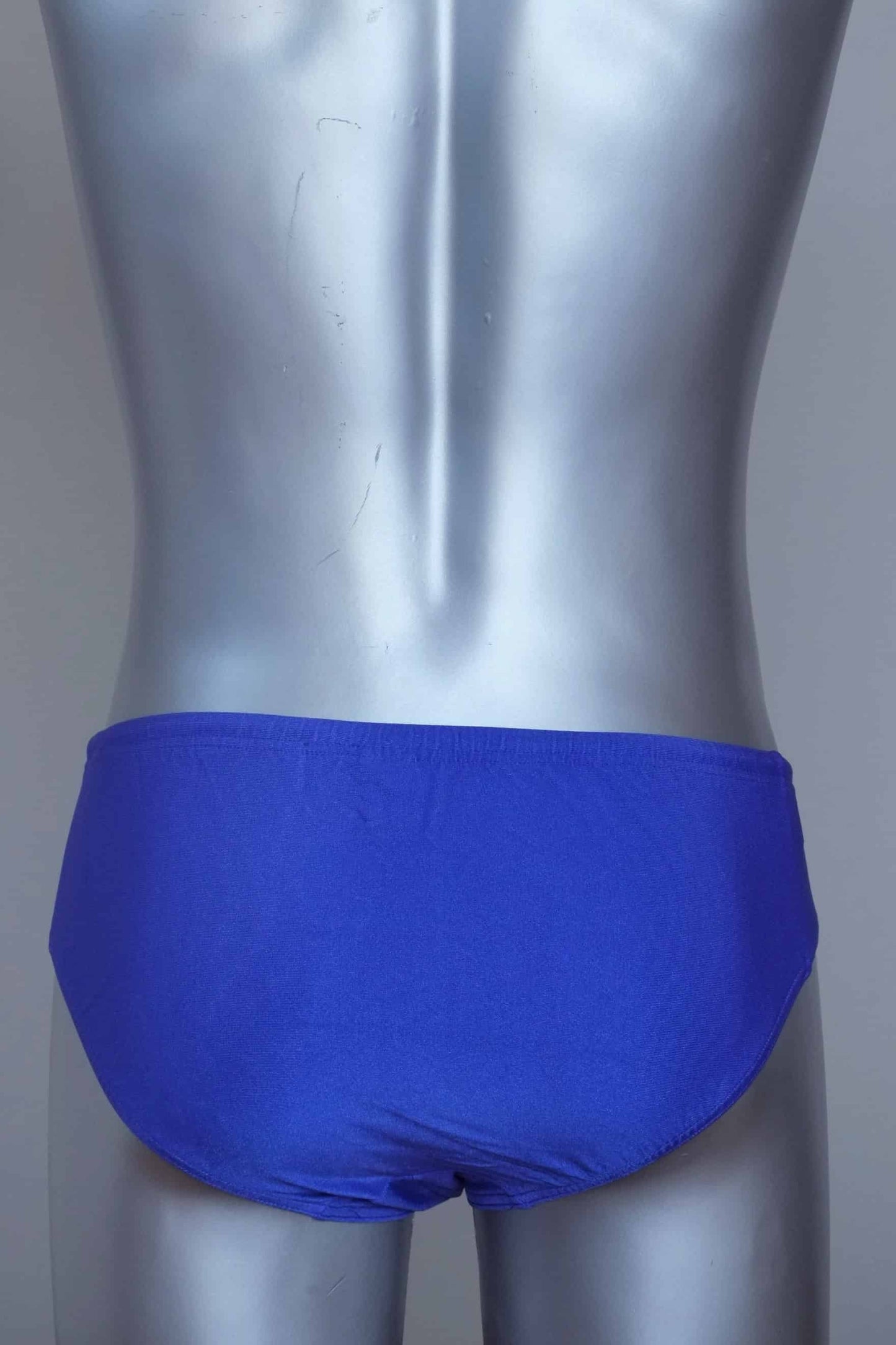 back view of a Vintage solar Blue men's swim briefs on a silver mannequin against a grey background.
