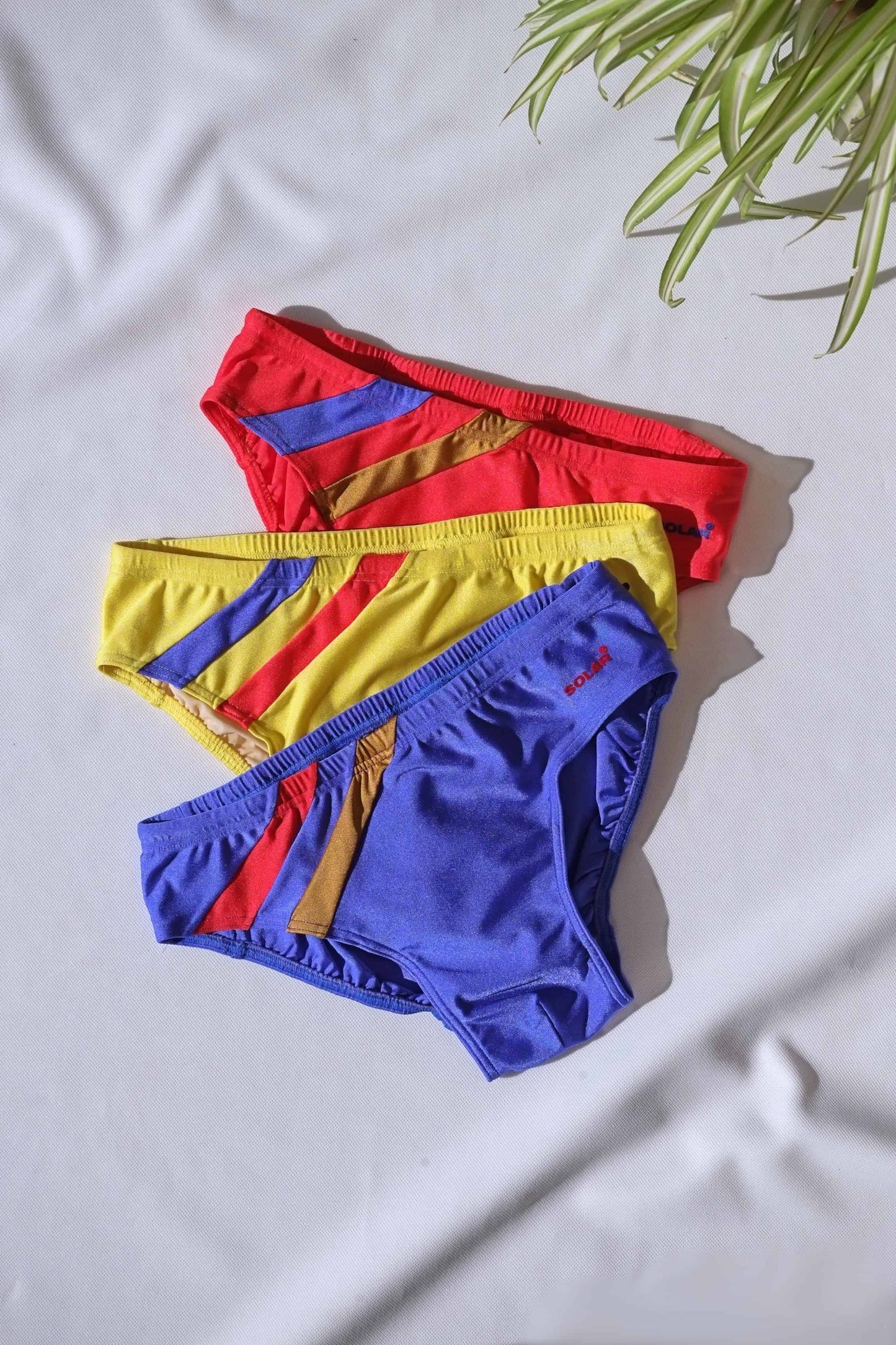 Four pairs of Vintage Solar colorful swim briefs laid on a white surface with a plant in the corner.