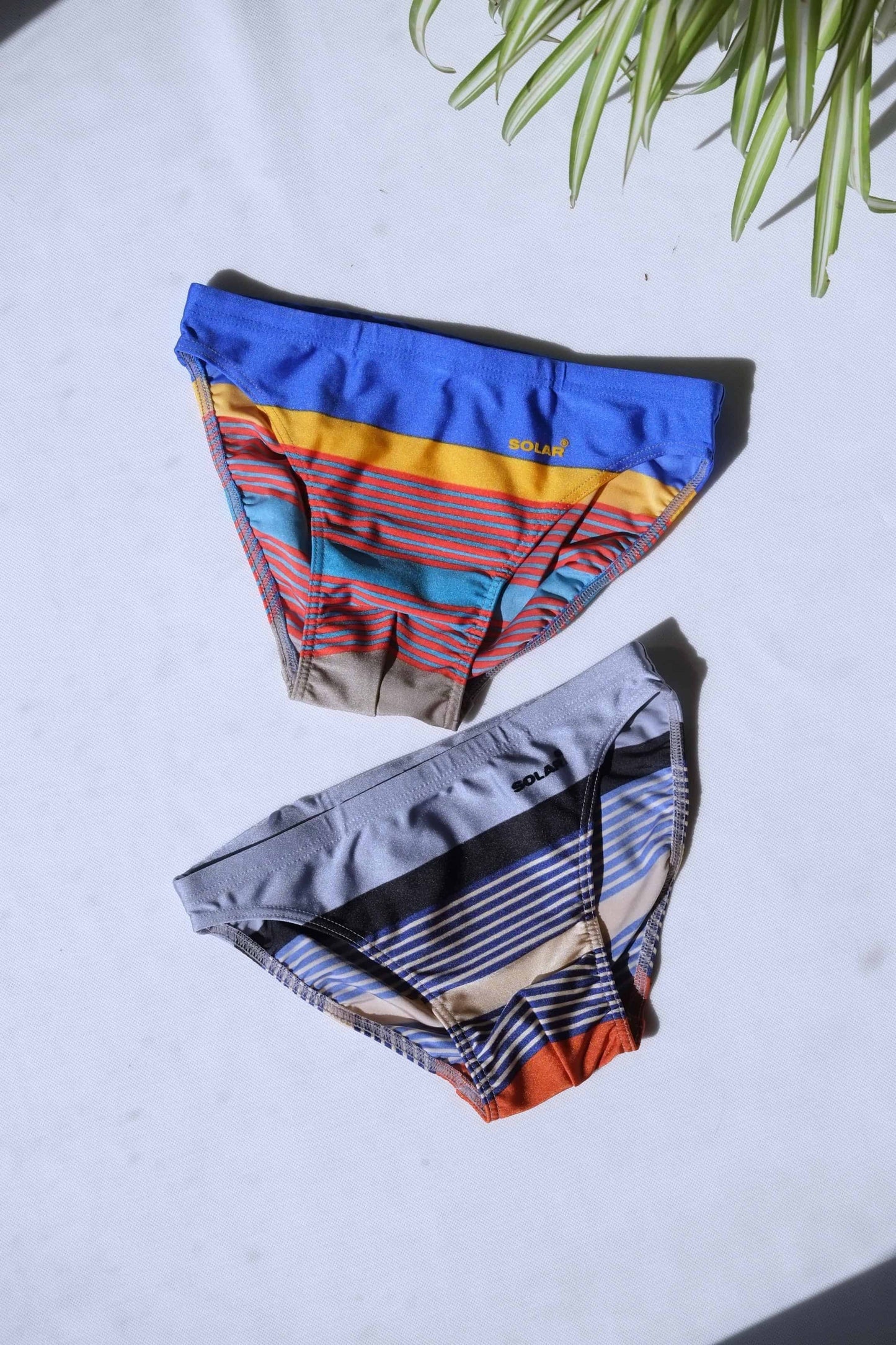 Vintage Colorful swim briefs on a light surface with green leaves in the corner