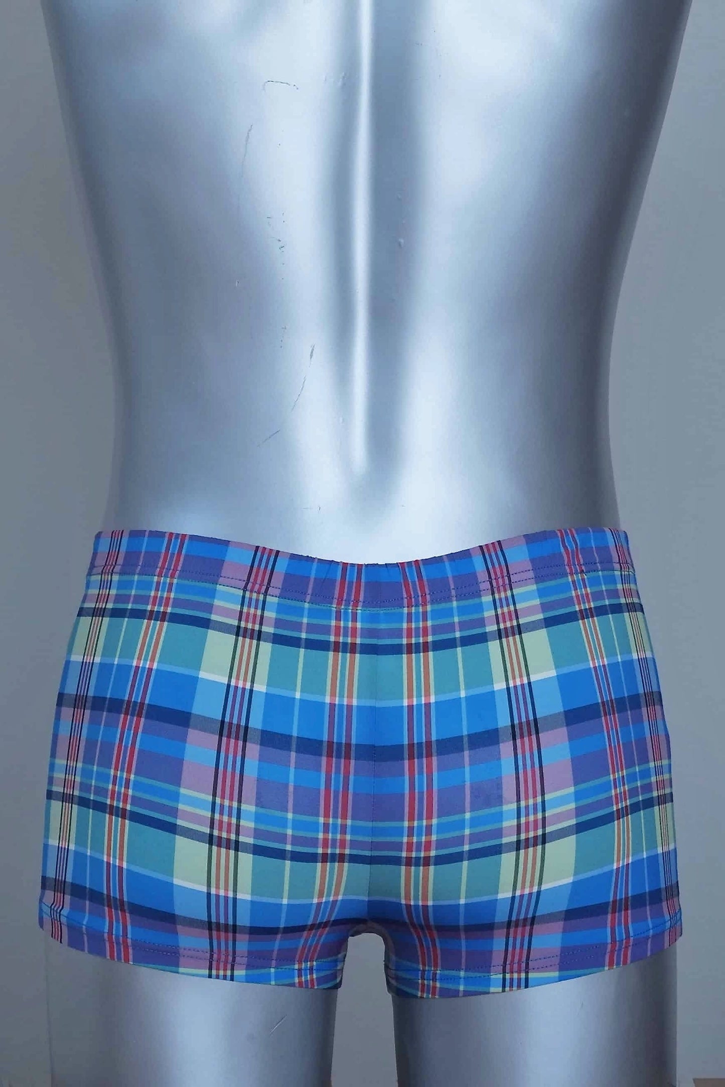 Back view of A vintage pair of Blue plaid swim briefs on a mannequin against a plain background