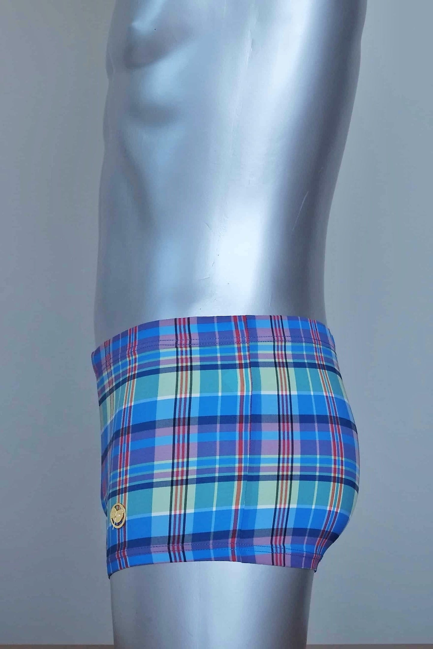 Side view of A vintage pair of Blue plaid swim briefs on a mannequin against a plain background