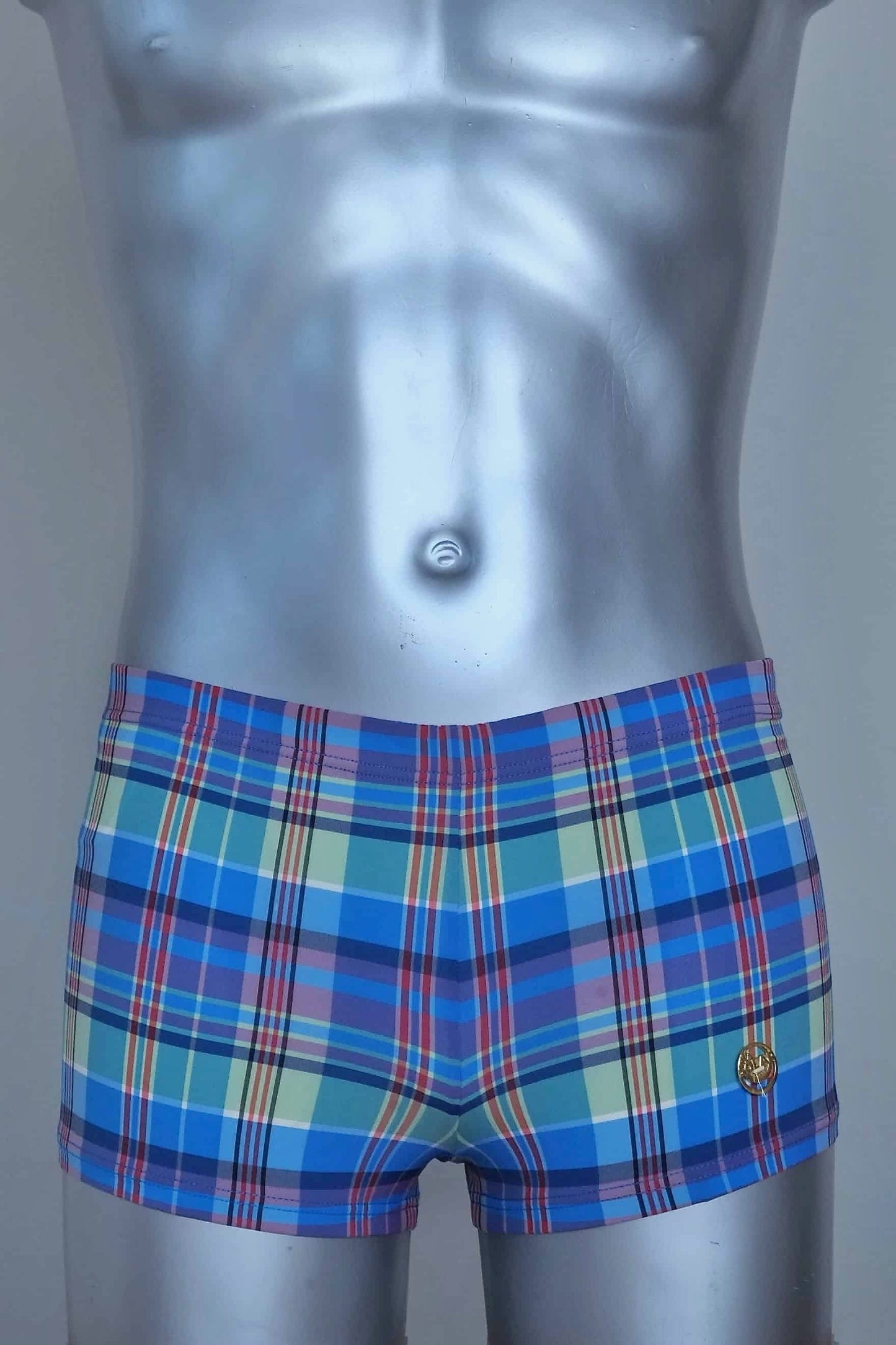 A vintage pair of Blue plaid swim briefs on a mannequin against a plain background