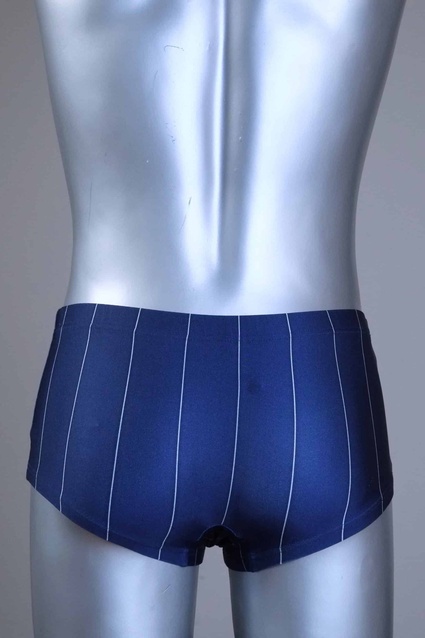 Back view of a Blue pinstripe swim briefs on a mannequin against a gray background