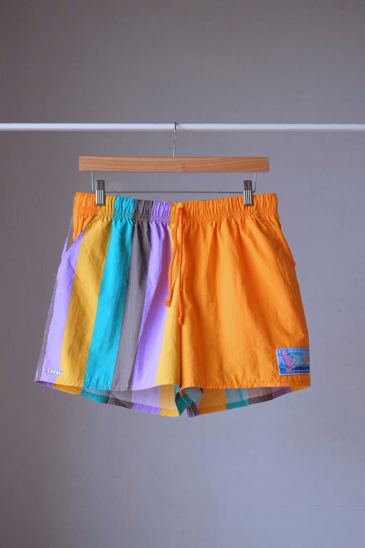 SERCLA Vintage Colorblock 90s Swim Shorts