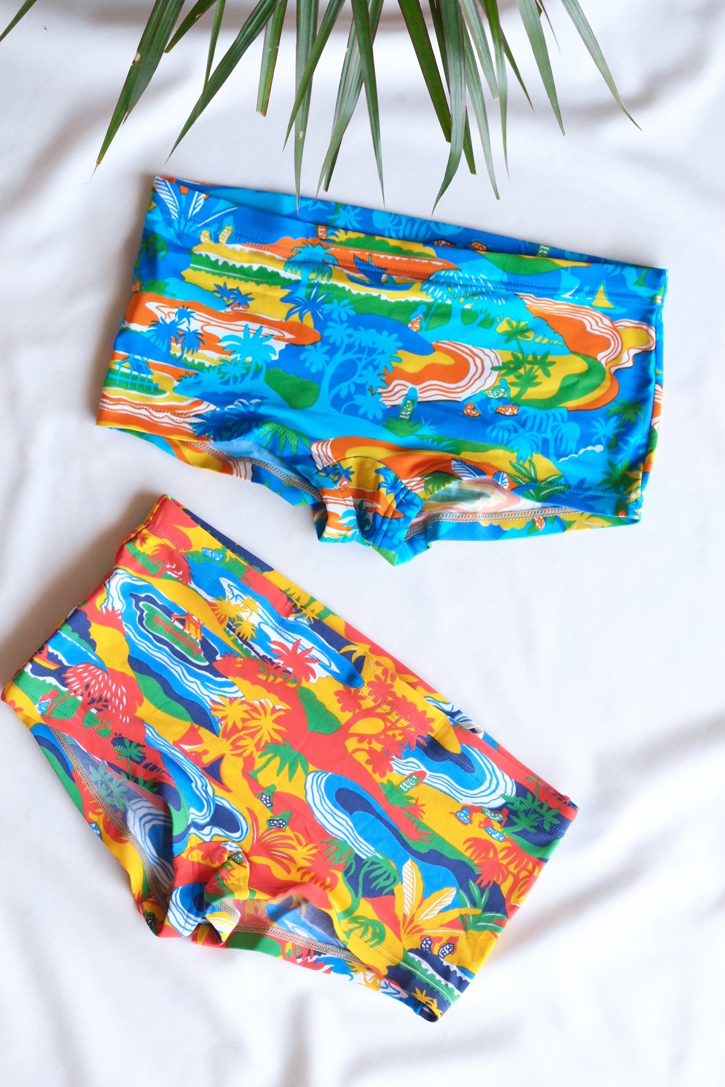TROPIC Tamoore 70's Swim Briefs