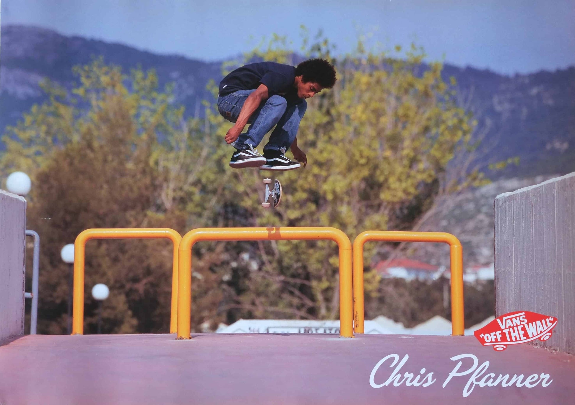 VANS Double-Sided Poster Chris Pfanner