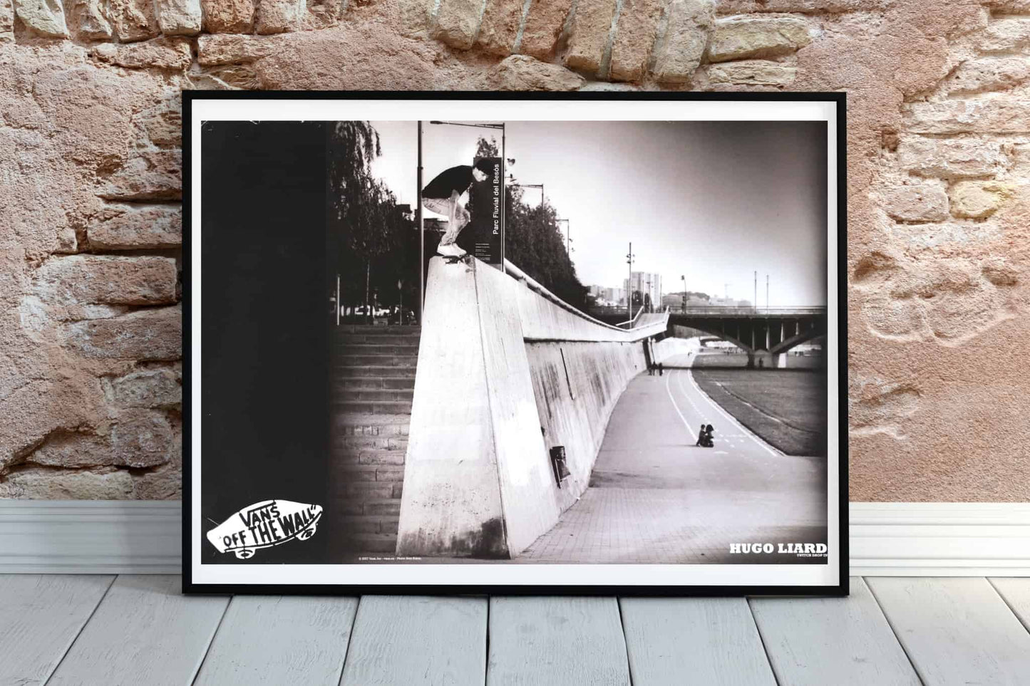 VANS Double-Sided Poster Geoff Rowley/Hugo Liard