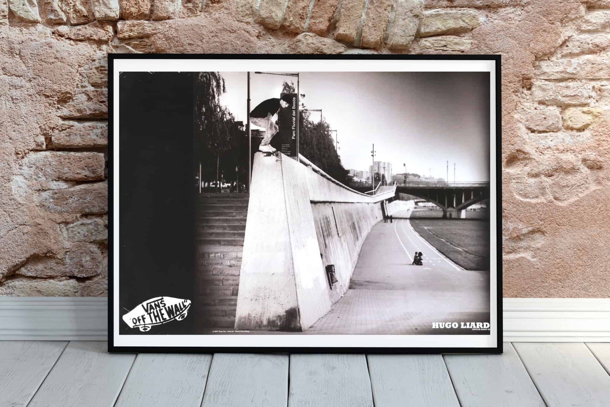VANS Double-Sided Poster Geoff Rowley/Hugo Liard