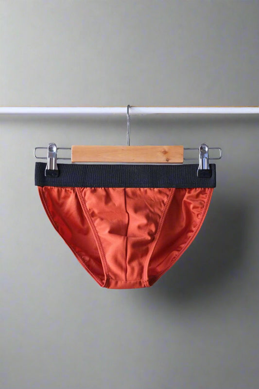 Monsieur Orchidée Vintage 1980's Micro Swim Briefs in brick color displayed on a hanger.