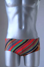 MONSIEUR ORCHIDÉE Vintage 80's Men's Swim Briefs: Retro Striped Swimwear, red color on mannequin