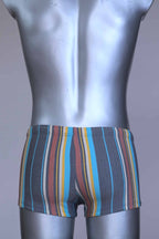 Back view of RIBANA vintage 70s swim trunks in shades of blue striped pattern, shown on a silver mannequin.