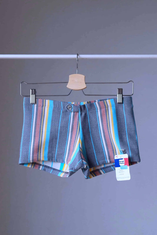Vintage 70s Ribana Carsten men's swim trunks with multicolored vertical stripes in blue, yellow, white, and burgundy tones, shown hanging on a wooden hanger.