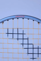 Detailed close-up of the nylon strings grid pattern on a vintage Snauwaert Hi-Ten I squash racket.