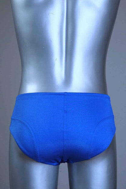 Back view of a pair of SOLAR vintage 70s swim briefs in royal blue shown on a silver mannequin