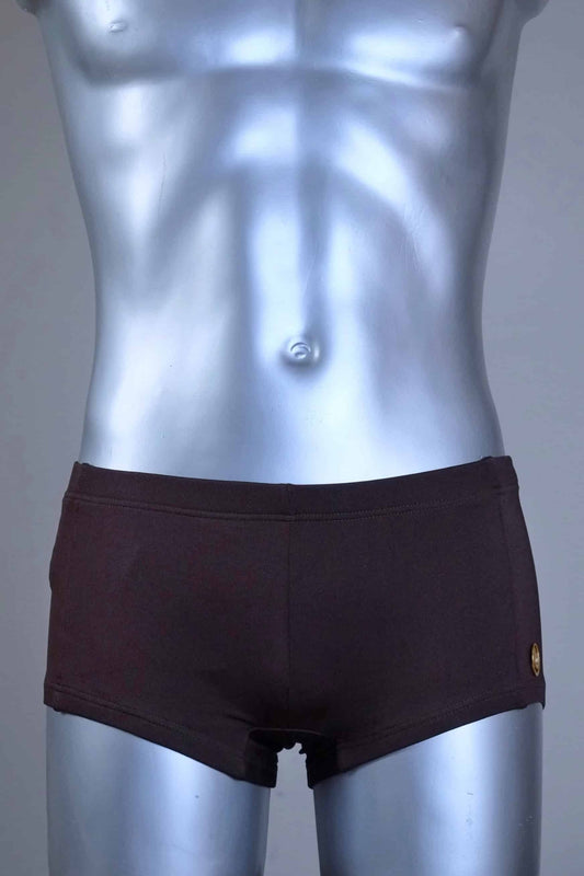 Mannequin wearing a pair of vintage 70s SOLAR swim trunks in brown against a grey background.