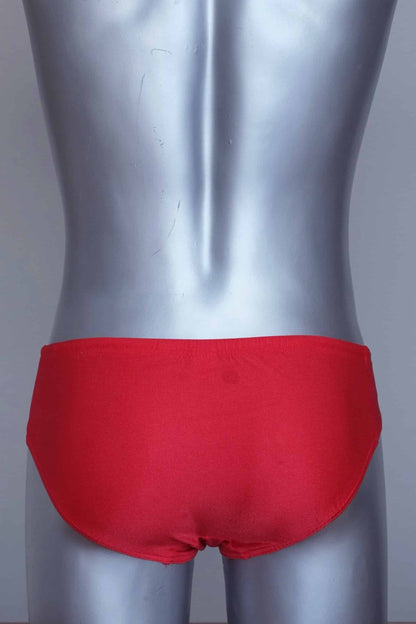 Back view of a Vintage solar red men's swim briefs on a silver mannequin against a grey background.