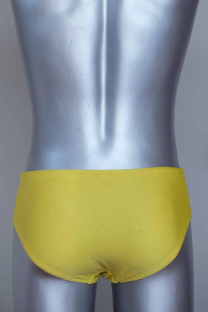 Back view of a Vintage solar yellow men's swim briefs on a silver mannequin against a grey background.