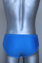 Back view of a vintage Blue men's swim briefs on a silver mannequin against a gray background