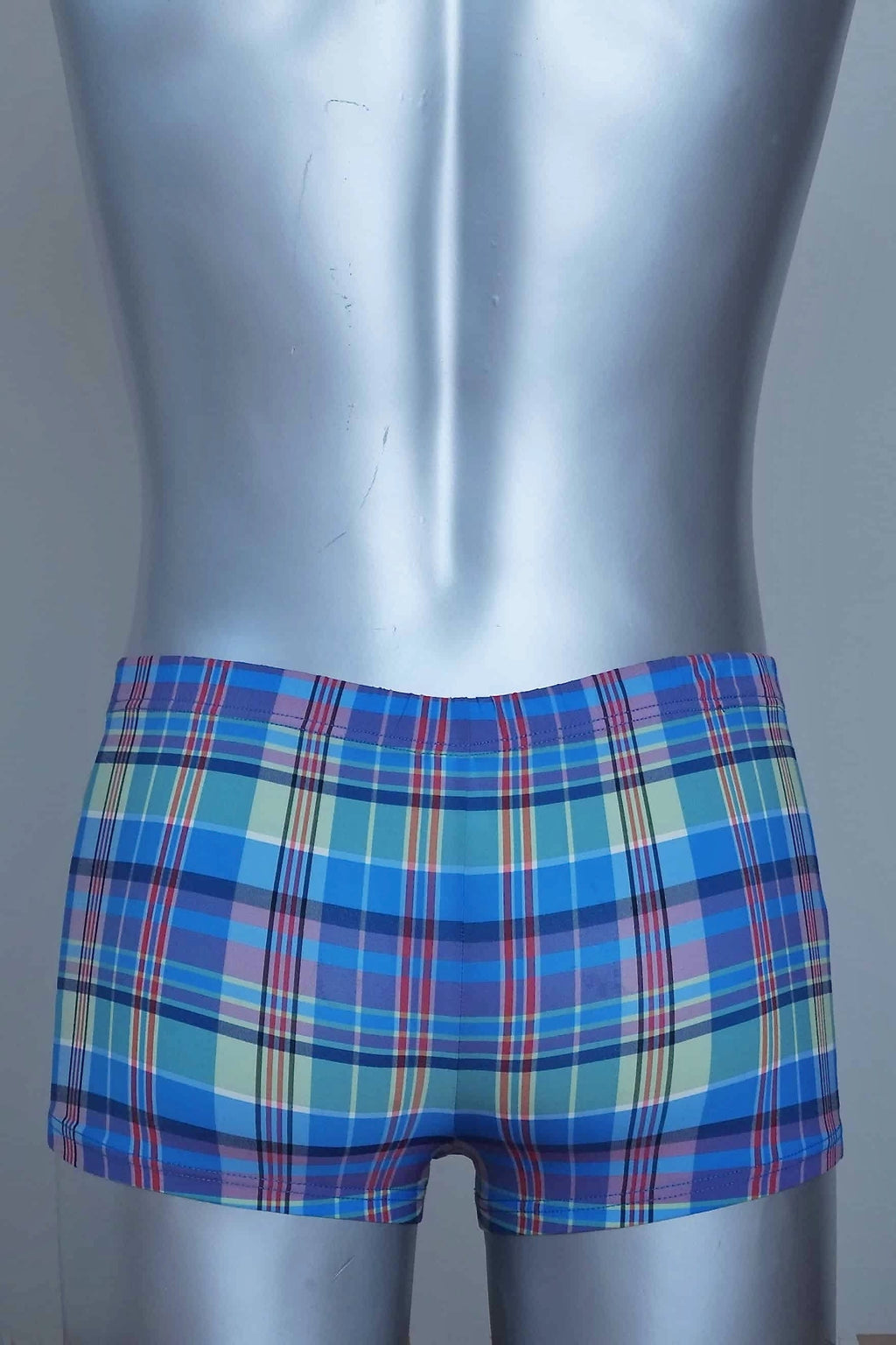 Back view of A vintage pair of Blue plaid swim briefs on a mannequin against a plain background