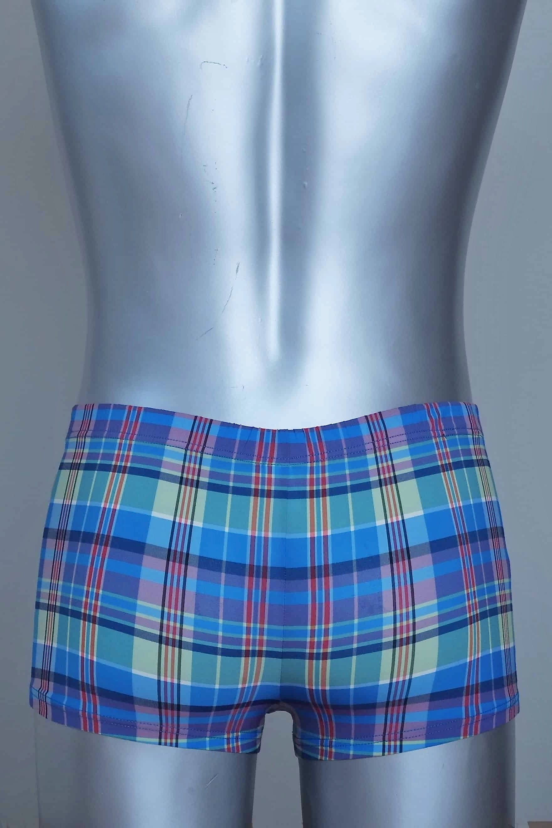 Back view of A vintage pair of Blue plaid swim briefs on a mannequin against a plain background