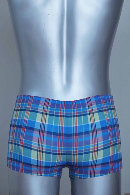 Back view of A vintage pair of Blue plaid swim briefs on a mannequin against a plain background