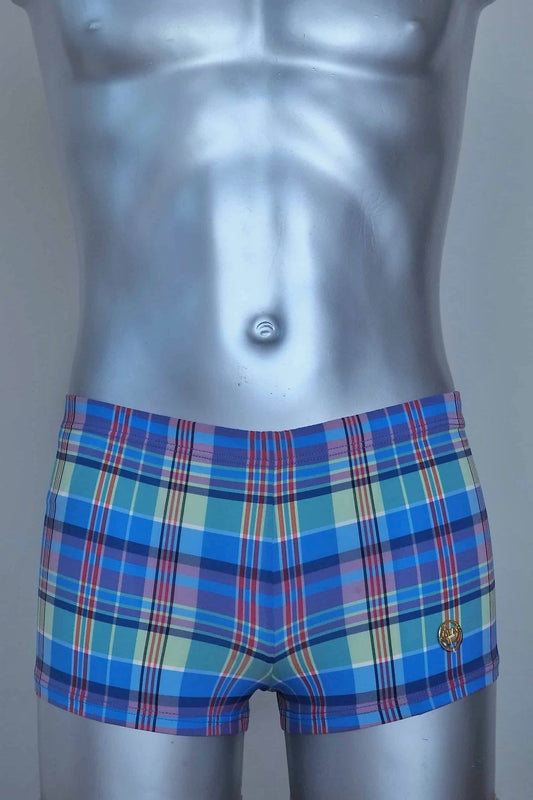 A vintage pair of Blue plaid swim briefs on a mannequin against a plain background