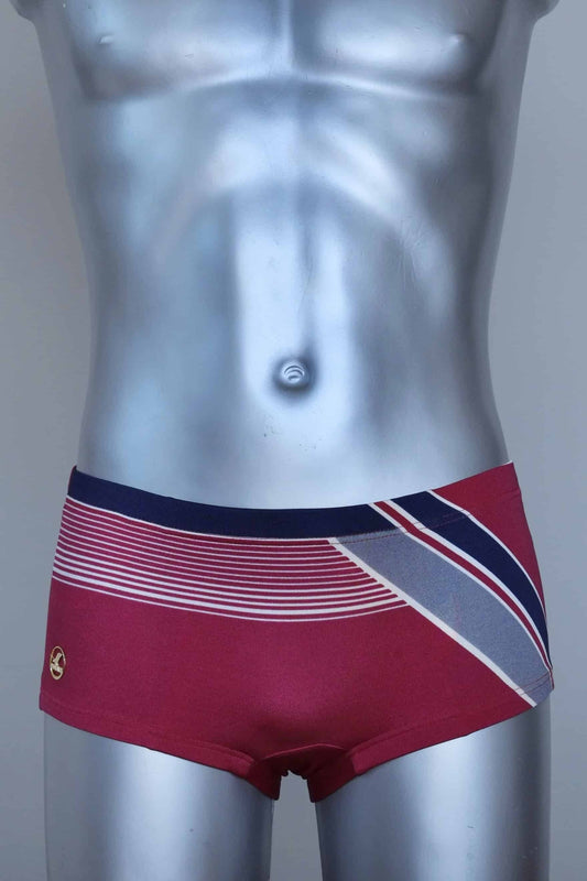Vintage burgundy and navy striped men's swim briefs on a silver mannequin against a gray background