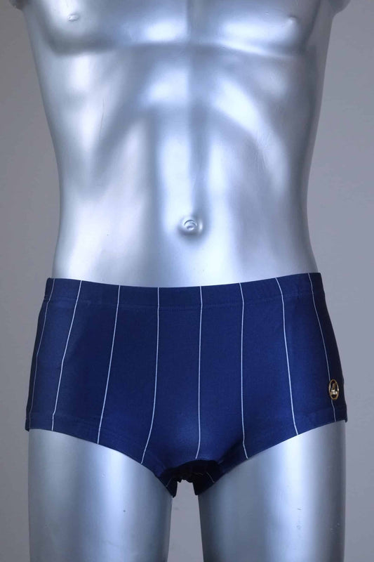 Blue pinstripe swim briefs on a mannequin against a gray background