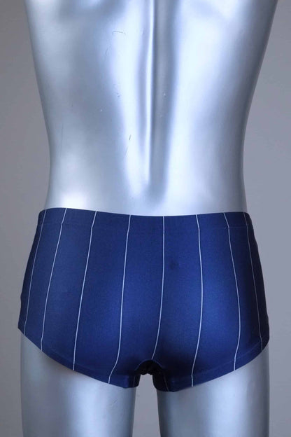Back view of a Blue pinstripe swim briefs on a mannequin against a gray background