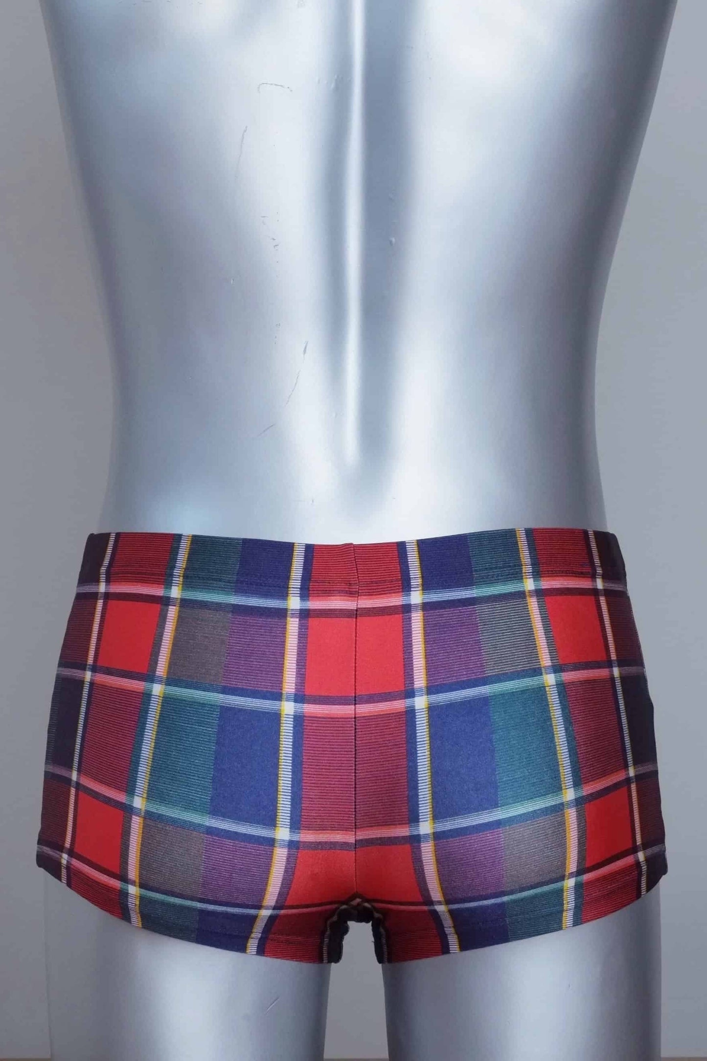 Back view of a Vintage red plaid patterned swim briefs on a mannequin against a gray background