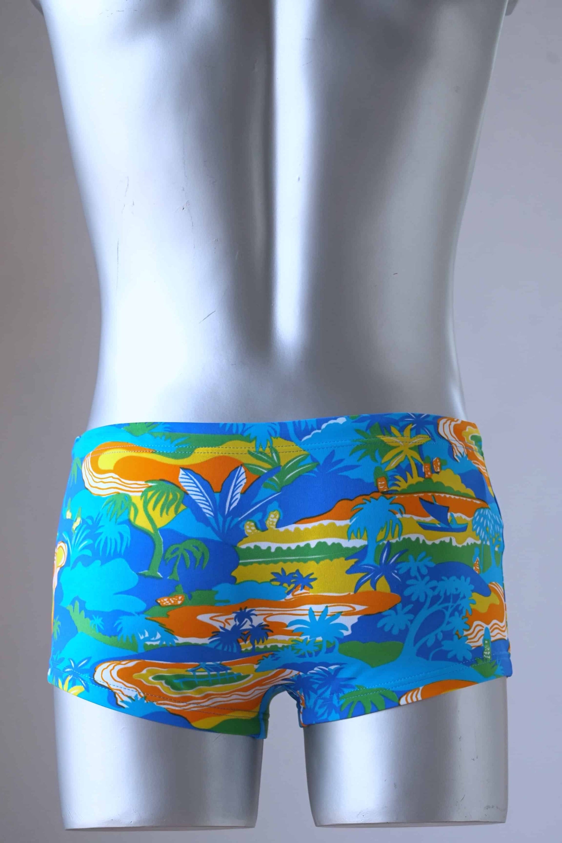 Back shot of a pair of Vintage men's swim briefs worn by a mannequin. The briefs are primarily blue with a tropical landscape pattern featuring palm trees, mountains, and water. The pattern also includes shades of orange, yellow, and green.