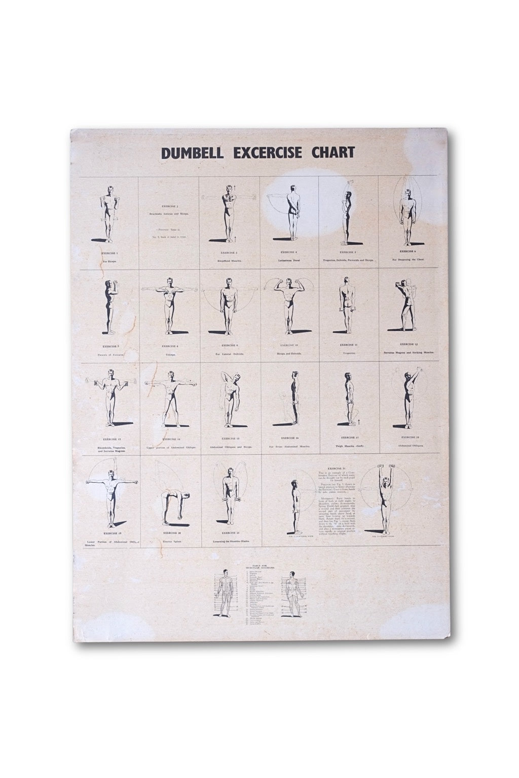 Vintage 1970s dumbbell workout chart on aged cardboard – isolated product photo with no background.