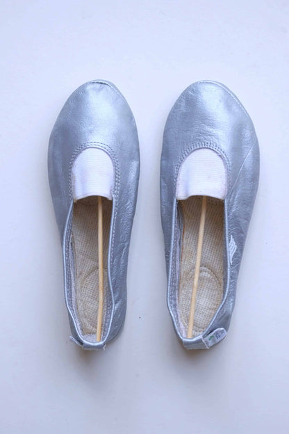 Silver Leather Ballerinas from top