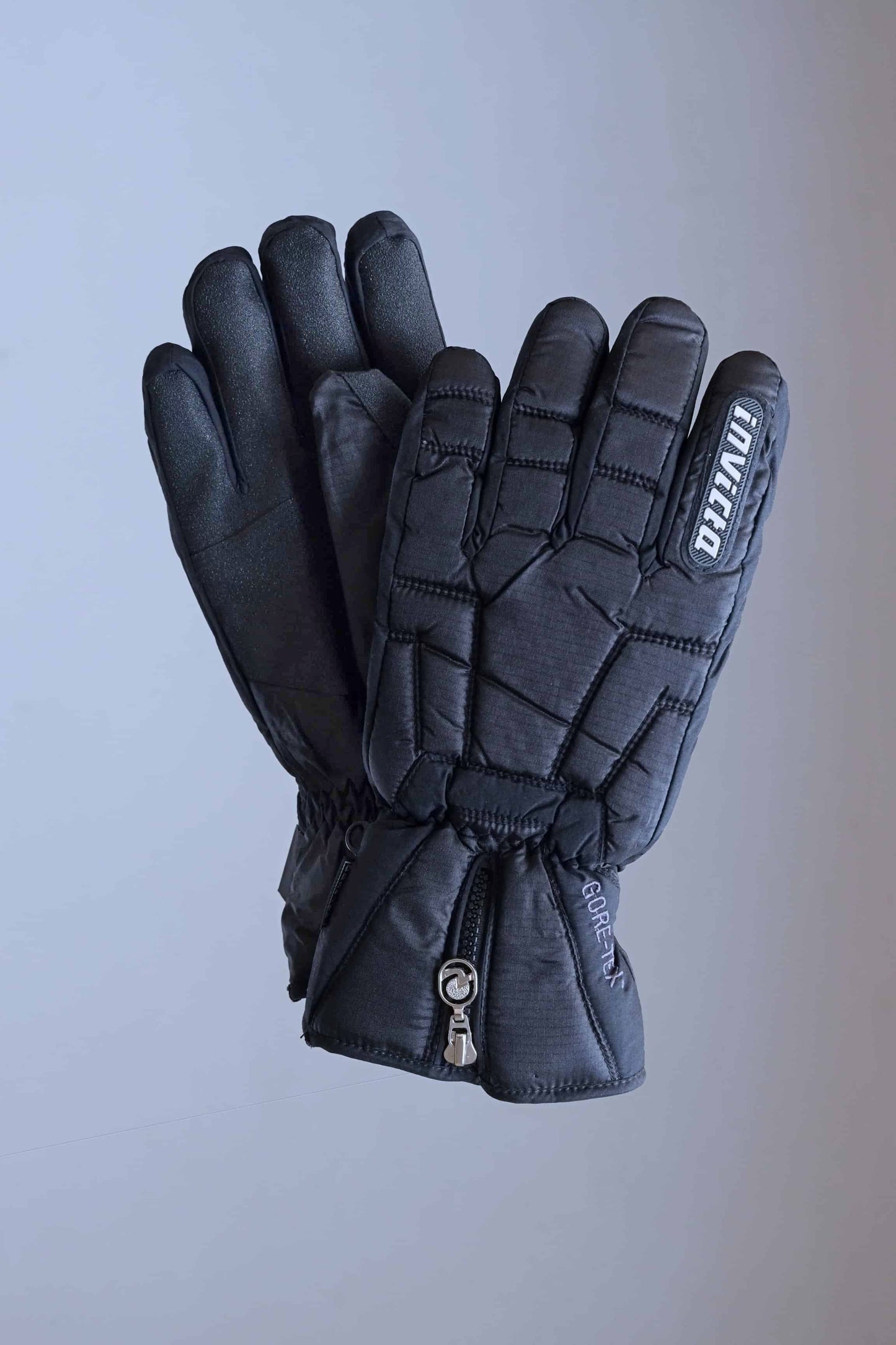 INVICTA Ronkygor Gore-Tex Ski Gloves
