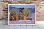 VANS Double-Sided Poster Chris Pfanner/Dustin Dollin